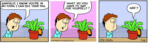 garfield