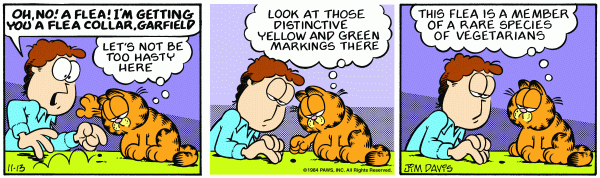 garfield