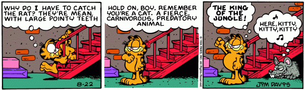 garfield