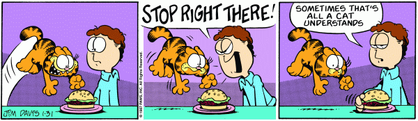garfield