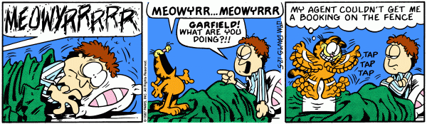 garfield