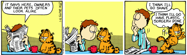 garfield