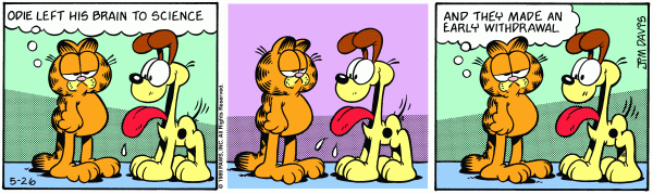 garfield