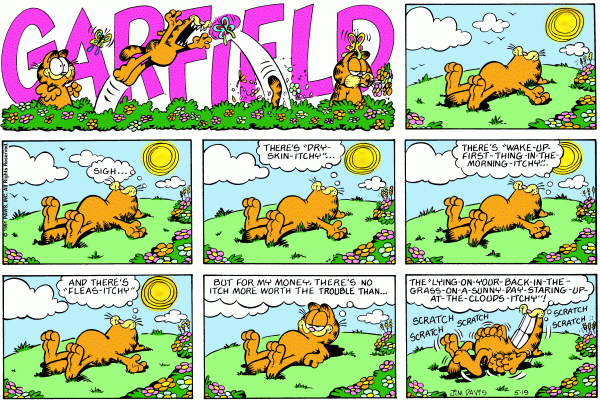 garfield