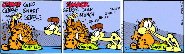 garfield 5/1/1991