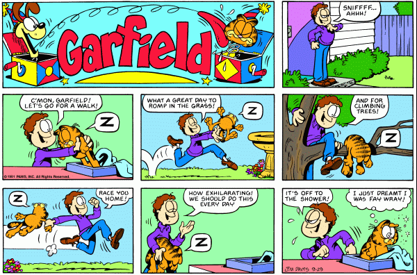 garfield 29/9/1991