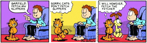 garfield
