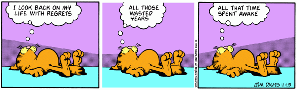 garfield 19/11/1992