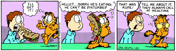 garfield