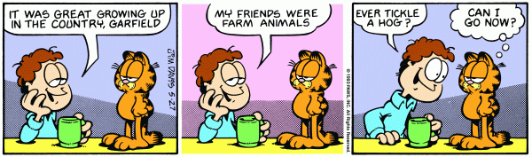 garfield