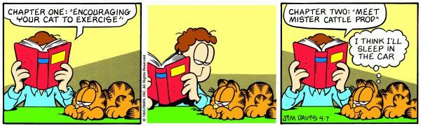 garfield