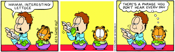 garfield