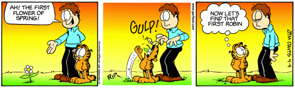 garfield