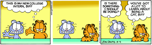 garfield