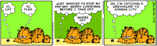 garfield