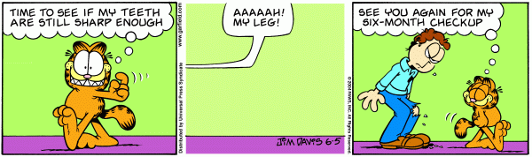 garfield