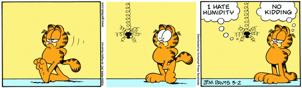 garfield