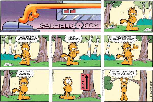 garfield