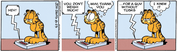 garfield