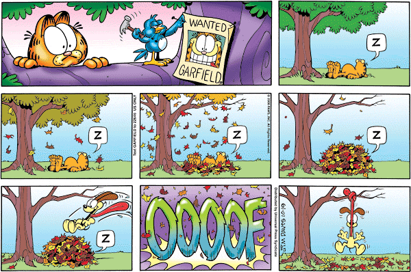 garfield