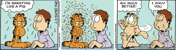 garfield