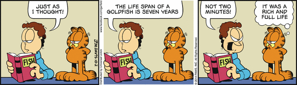 garfield