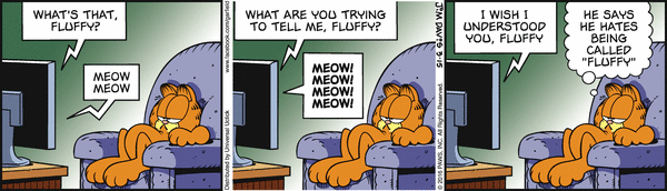 garfield