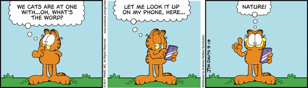 garfield