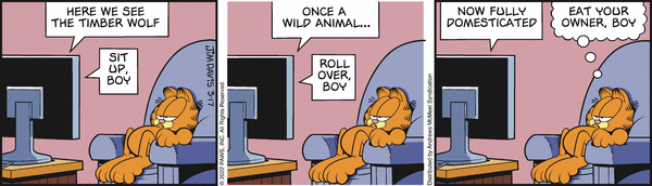 garfield