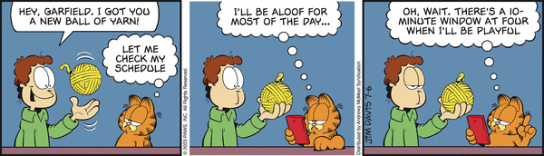 garfield