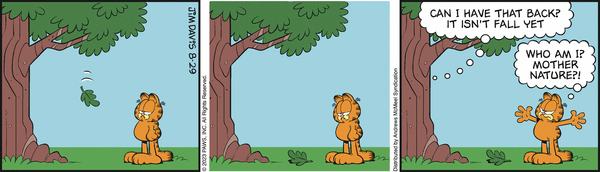 garfield