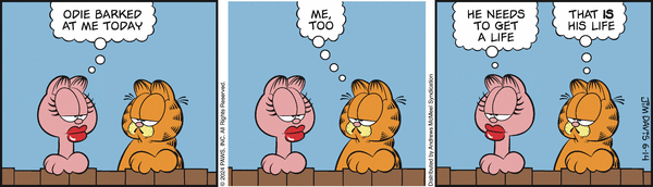 garfield