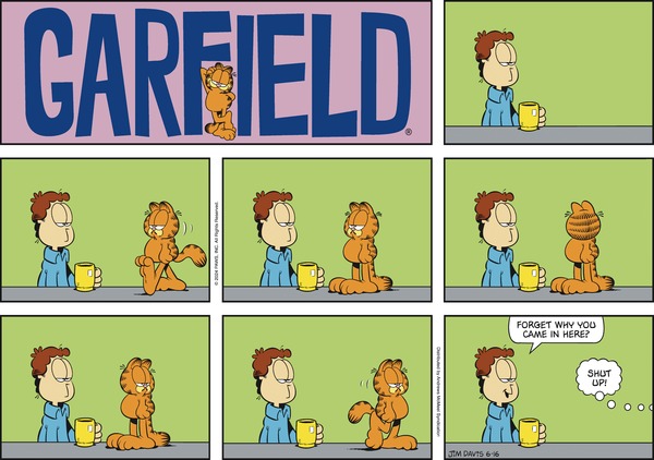 garfield 16/6/2024