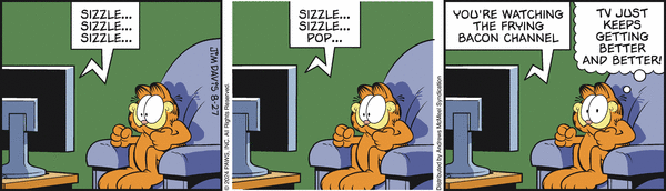 garfield 27/8/2024