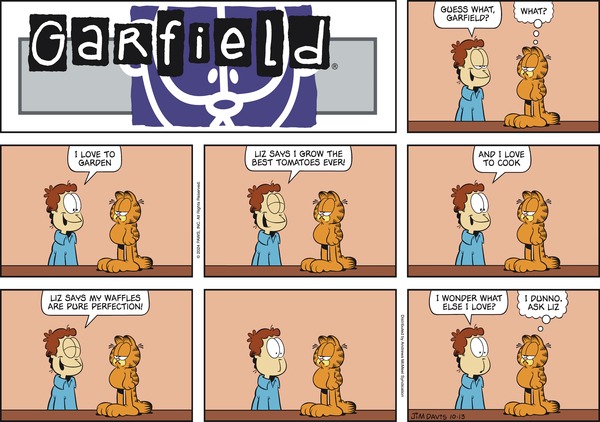 garfield 13/10/2024