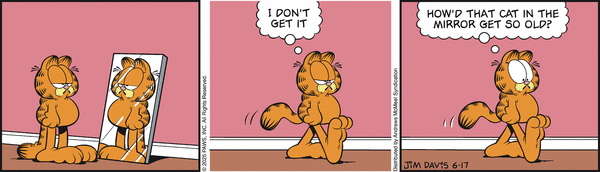 garfield