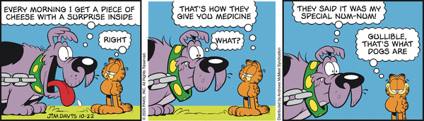garfield 22/10/2025