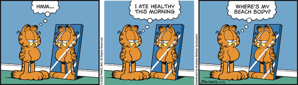garfield 11/11/2025
