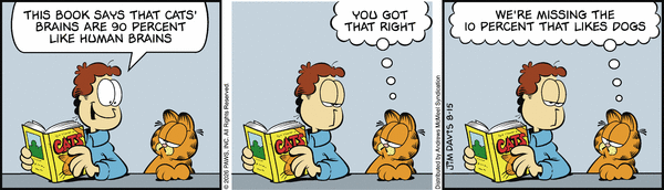 garfield 15/8/2026