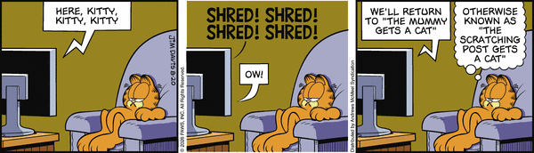 garfield 20/8/2026
