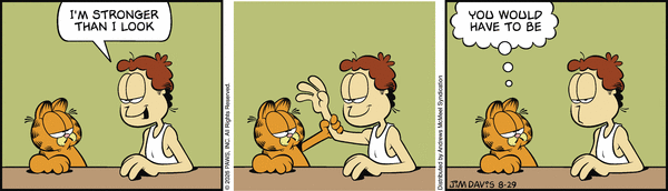 garfield 29/8/2026
