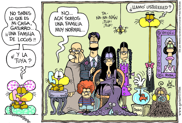 Spgat080502