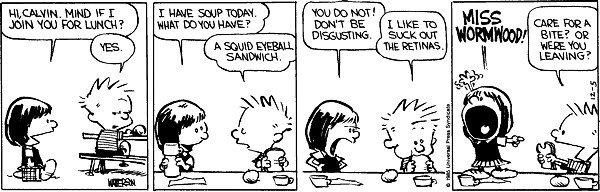 Calvin and Hobbes comic