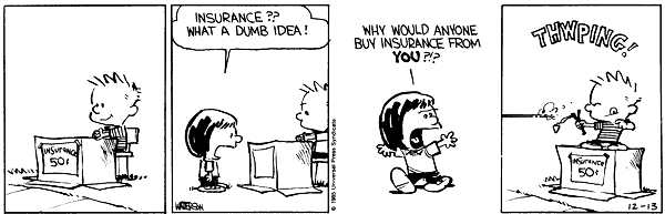 Calvin and Hobbes comic
