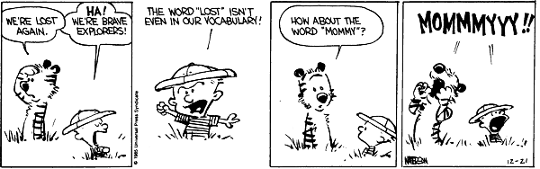 Calvin and Hobbes comic