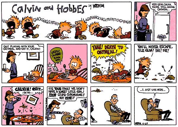 Calvin and Hobbes comic