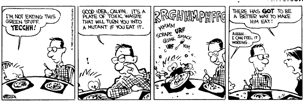 Calvin and Hobbes comic