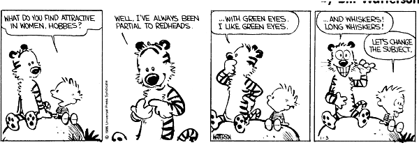 Calvin and Hobbes comic