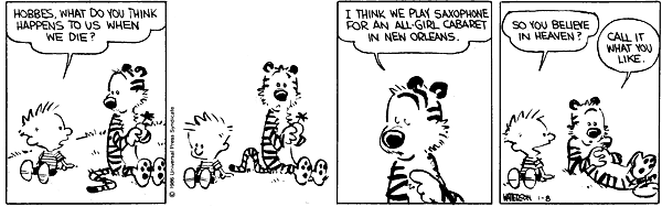 Calvin and Hobbes comic