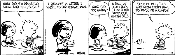Calvin and Hobbes comic